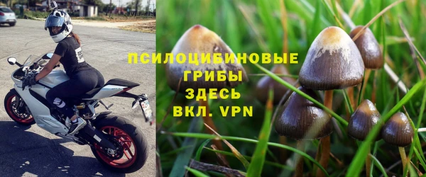 мет Тихвин